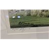 Image 2 : FRAMED LEP (53//75) BY PETER L. JURIK TITLED "DAVE BARR P.G.A." WITH COA 32" X 26"