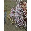 Image 4 : 3 Styles of Candy Canes 