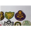 Image 3 : (11) Assorted Patch Crests - 1944-45 PAV Rifle Club