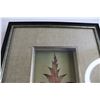 Image 2 : Framed Leaf Print - 13" x 15"