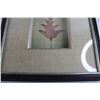 Image 3 : Framed Leaf Print - 13" x 15"