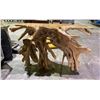 Image 2 : SOLID LIVE EDGE TEAK TABLE 47.5X16X30.5"