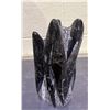 Image 2 : 8" ORTHOCERAS FOSSIL SPECIMEN RETAIL $800