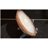 Image 2 : GENUINE NATURAL AGATE SLICE FORMATION RETAIL $1100