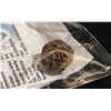 Image 2 : NATURAL 5 FACE RUDRAKSHA