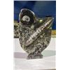 Image 1 : ORTHOCERAS AMMONITE FOSSIL