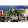 Image 1 : FAKE PLANT DISPLAY