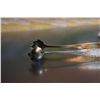 Image 4 : Vintage silverplated 90 sugar tong