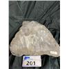 Image 2 : ORTHOCERAS FOSSIL PLAQUE 12" X 11" RETAIL $2200