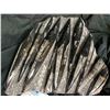 Image 3 : ORTHOCERAS FOSSIL PLAQUE 12" X 11" RETAIL $2200