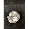 Image 2 : AMMONITE FOSSIL RETAIL $249