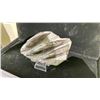 Image 2 : ORTHOCERAS FOSSIL APPROX 6" RETAIL $800