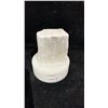 Image 2 : SELENITE RETAIL $389