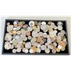 Image 5 : ASSORTMENT OF JEWELRY, WATCHES AND MIXTURE OF COINS FROM CANADA, UNITED STATES, AUSTRAILA AND OTHER