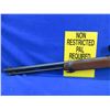 Image 4 : Non-Restricted - Winchester Model 150 in 22 S,L,LR