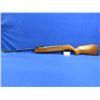 Image 1 : No PAL Required - Winchester Model 500 in .177 Cal.