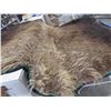 Image 3 : Buffalo Hide/Rug - Approx. 90" x 72"