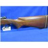 Image 2 : Non-Restricted - Winchester Model 70 Pre 64 in 30-06 Sprg