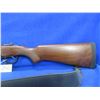 Image 2 : Non-Restricted - ER Amantino Condor Gaucha-IGA 410 Ga