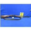 Image 5 : Non-Restricted - ER Amantino Condor Gaucha-IGA 410 Ga