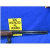 Image 6 : Non-Restricted - ER Amantino Condor Gaucha-IGA 410 Ga