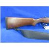 Image 8 : Non-Restricted - ER Amantino Condor Gaucha-IGA 410 Ga
