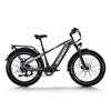 Image 1 : Himiway D5 Electric Bike