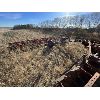 Image 1 : 18ft Tine Harrows (5 sections)