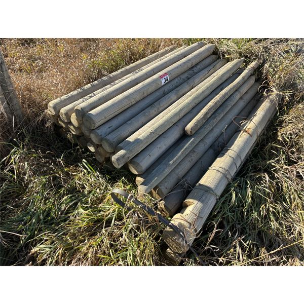6ft 3in-4in Posts (approx 50)