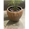 Image 2 : Contemporary artificial planter