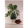 Image 1 : Artificial Tropical Plant 34"x 24", Felt Cowboy Hat