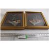 Image 1 : (2) Framed Artworks - 10 1/4" x 12 1/4"