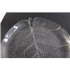 Image 2 : (10) Leaf Plates