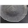 Image 3 : (10) Leaf Plates