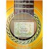 Image 2 : Suzuki Acoustic Guitar No.14 In Case