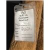 Image 3 : 2 PERSON CAMEL COSTUME, DAILY RENTAL $130.00