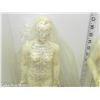 Image 2 : Chinese Medicine-Acupuncture Male and Female Models