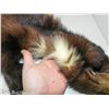 Image 11 : 2 Fur Wraps/Stoles