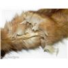 Image 8 : 2 Fur Wraps/Stoles