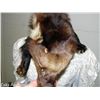 Image 9 : 2 Fur Wraps/Stoles