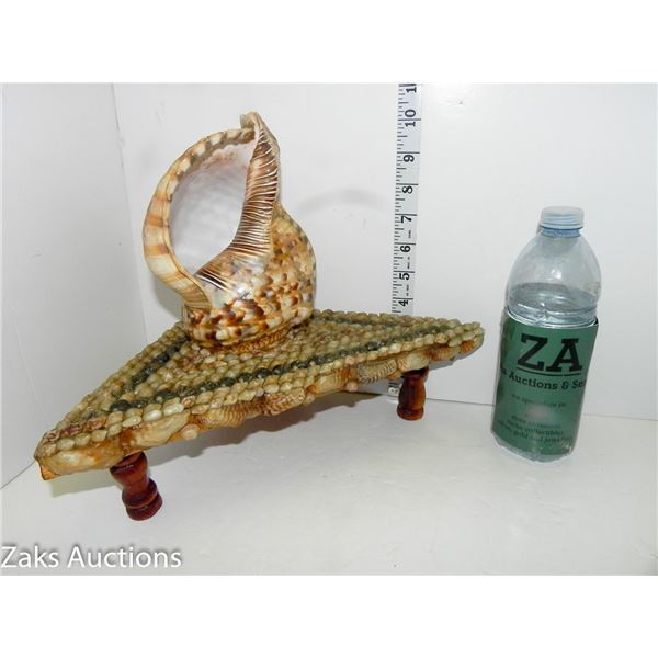 Conch Shell on Decorative Shell Display Table