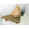 Image 6 : Conch Shell on Decorative Shell Display Table
