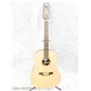 Image 4 : Segovia Secquo Model No DD3500 12 String Acoustic*Electric Guitar