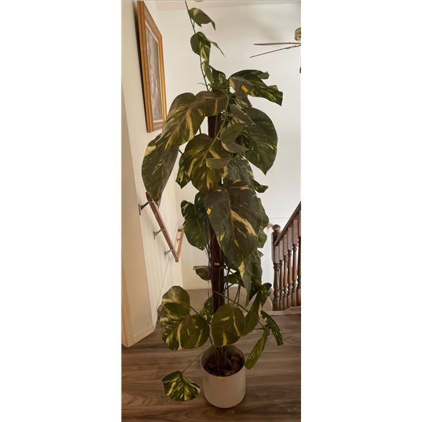 Artificial Golden Pothos (Species of Ivy also know as Money Plant) 70H