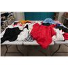 Image 1 : LOT DE 100 VÊTEMENTS POUR FEMMES
