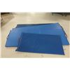 Image 1 : LOT DE 4 TAPIS D'EXERCICE ASST TEL-QUEL