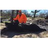 Image 2 : TEXAS FERAL HOG HUNT for 4 HUNTERS in SOUTHERN TEXAS for 3 days and nights.