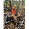 Image 2 : Trophy Saskatchewan Moose Hunt for 1 Hunter for 6 Days