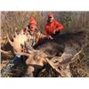 Image 4 : Trophy Saskatchewan Moose Hunt for 1 Hunter for 6 Days