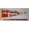 Image 1 : 1972 CANADA VS RUSSIA PENNANT